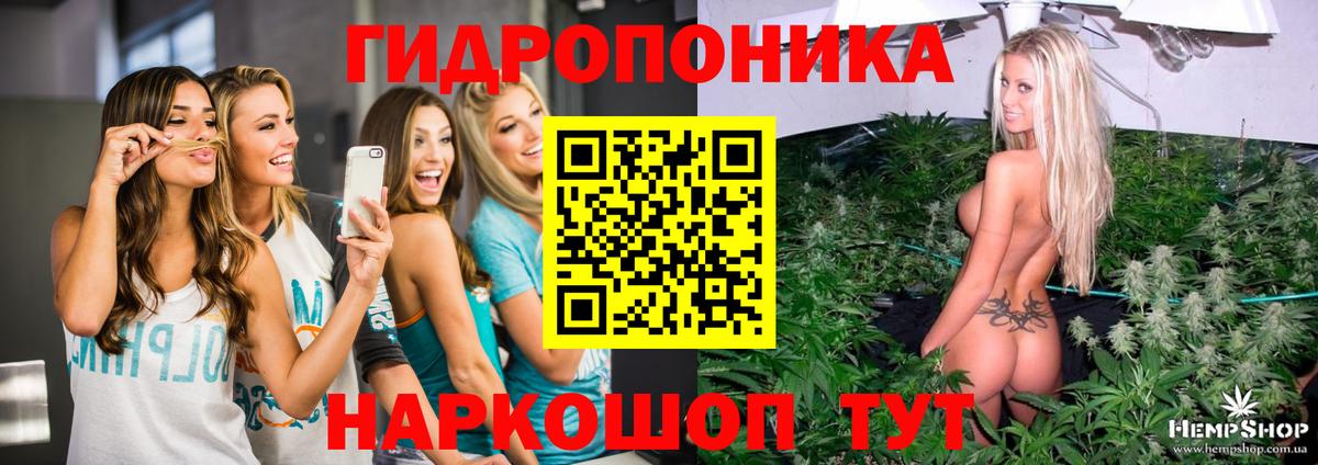 Каннабис план  Канабис THC 21%  Вход с VPN  Ачинск 